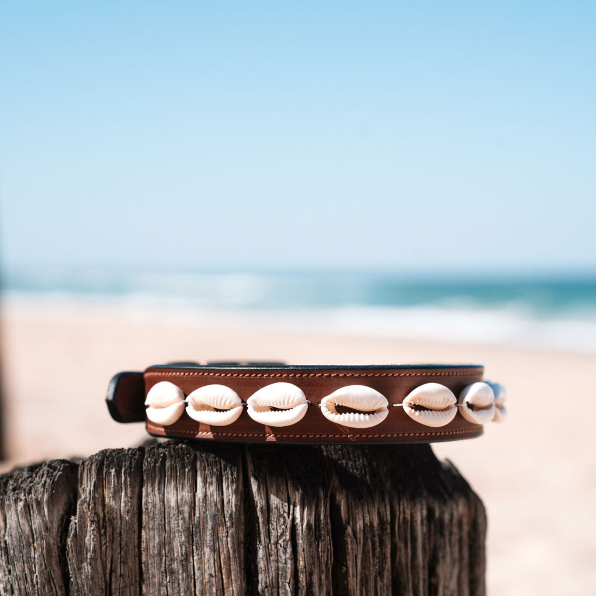 Ohana Pups Cowrie Shell collar on a post at the beach on a sunny day