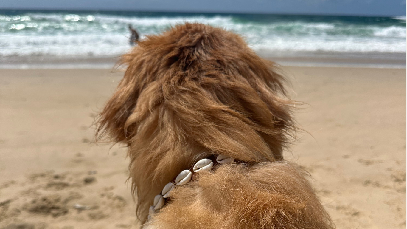 Cowrie Collars